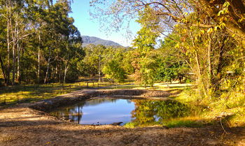Valley Farm Vineyard Cottages - Accommodation Gladstone 3