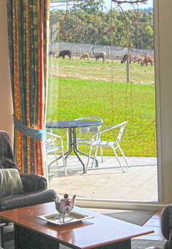 Valley Farm Vineyard Cottages - Accommodation Gladstone 9