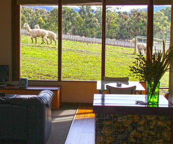 Valley Farm Vineyard Cottages - Accommodation Gladstone 17