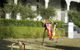 The Villa - Country House Retreat - thumb 15