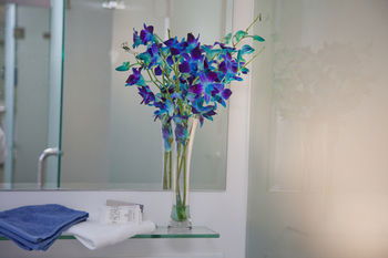 Grand Hotel Wyong - Accommodation Gladstone 0