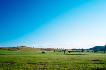 Kimo Estate - Accommodation Gladstone 17