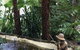 Aquila Nova Retreat - thumb 18