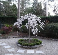 Corner Manor Leura - Accommodation Gladstone