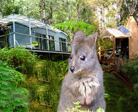 Huon Bush Retreats - Accommodation Gladstone 0