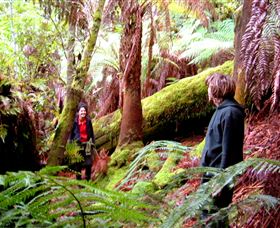Huon Bush Retreats - Accommodation Gladstone 3