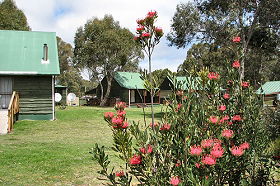 Dee TAS Accommodation Gladstone