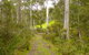 Huon Valley Eco Wilderness Retreat - thumb 5