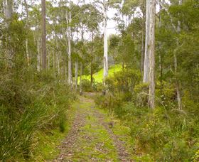Huon Valley Eco Wilderness Retreat - Accommodation Gladstone 5