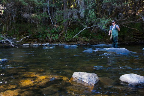 Tyenna River Cottage - Accommodation Gladstone 1