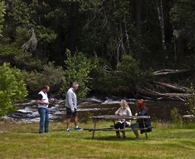 Tyenna River Cottage - Accommodation Gladstone 2