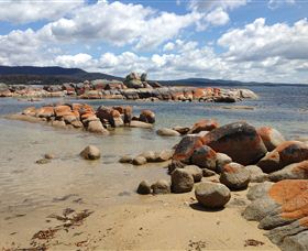 Lake Eckersley Campground - Accommodation Gladstone 0