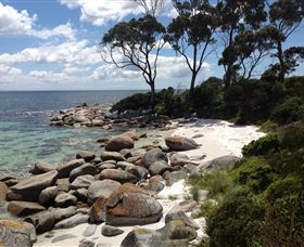 Lake Eckersley Campground - Accommodation Gladstone 2