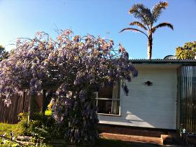 North East Apartments - Accommodation Gladstone 1