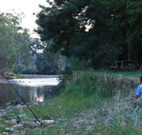 Gentle Annie Caravan and Camping Reserve - Accommodation Gladstone
