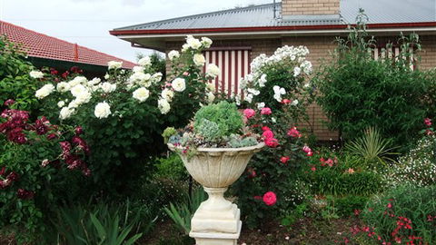 Admurraya House Bed And Breakfast - Accommodation Gladstone 5