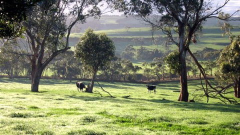 Bellevue Farmstay - Accommodation Gladstone 0