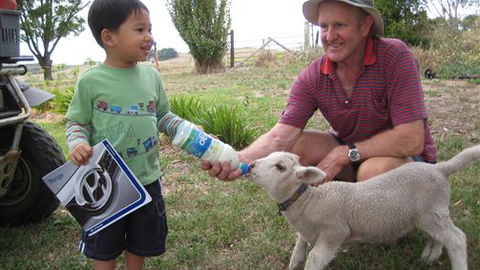 Bellevue Farmstay - Accommodation Gladstone 1