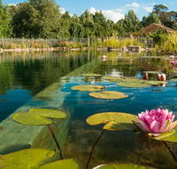 Planetrees Estate  - Accommodation Gladstone