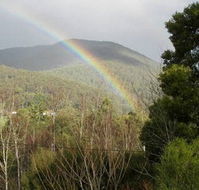 Wattletree Cottage - Accommodation Gladstone