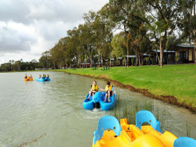 BIG4 Renmark Riverfront Holiday Park - Accommodation Gladstone 1