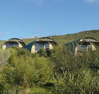 Saunders Gorge Sanctuary - Nature Lodges - Accommodation Gladstone