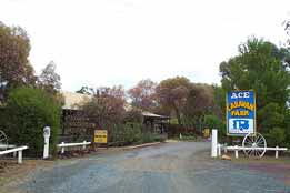 Ace Caravan Park - Accommodation Gladstone 0