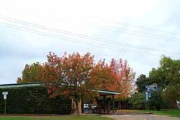 Allambie Motel Pty Ltd - Accommodation Gladstone 0