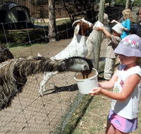 BIG4 Bairnsdale Holiday Park - Accommodation Gladstone