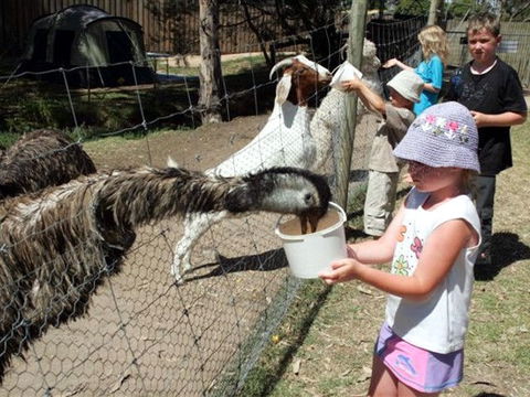 BIG4 Bairnsdale Holiday Park - Accommodation Gladstone 0