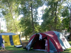 BIG4 Forbes Holiday Park - Accommodation Gladstone 2