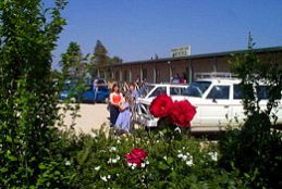 Boerbuck Country Motel & Host Farm - Accommodation Gladstone 0