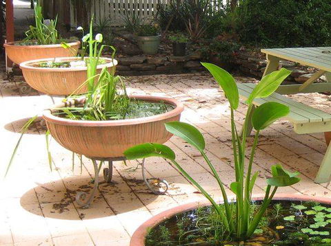 Burwood Bed & Breakfast - Accommodation Gladstone 3
