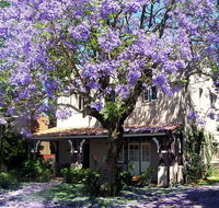 Callam Court - Accommodation Gladstone