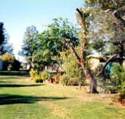 Condamine River Caravan Park - Accommodation Gladstone