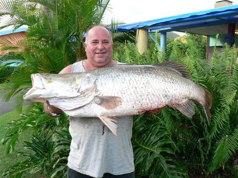 Conway Beach Tourist Park Whitsunday - Accommodation Gladstone 4