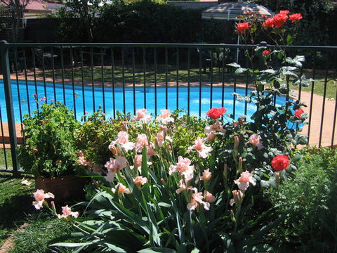 Country Apartments - Accommodation Gladstone 4