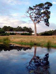 Craythorne Country House Metricup - Accommodation Gladstone 4