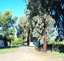 Cudal Caravan Park - Accommodation Gladstone