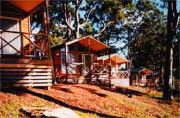 Lane Cove River Tourist Park - Accommodation Gladstone 6