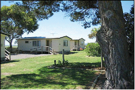 Millicent Hillview Caravan Park - Accommodation Gladstone 1