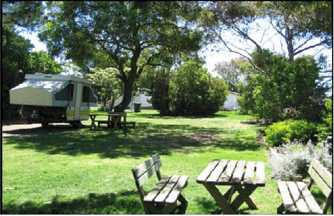 Millicent Hillview Caravan Park - Accommodation Gladstone 2