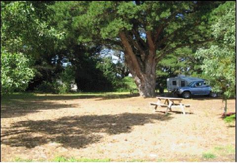 Millicent Hillview Caravan Park - Accommodation Gladstone 4