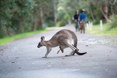 Myall Shores Holiday Park - Accommodation Gladstone 11