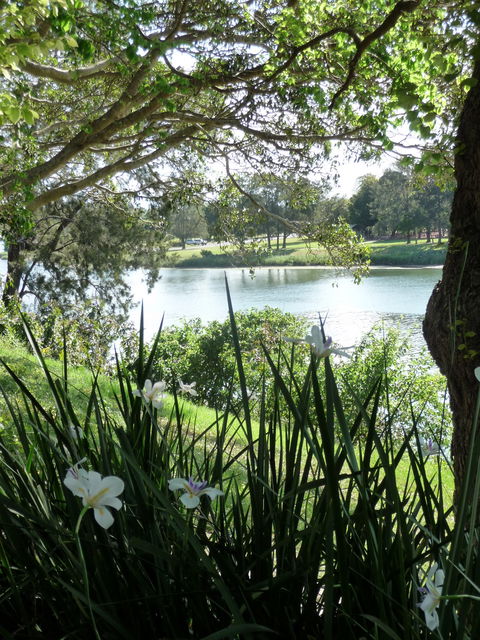 Netherby House - Accommodation Gladstone 6