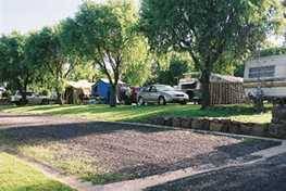 Poplar Caravan Park - Accommodation Gladstone 3