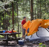 Bald Rock campground and picnic area - Accommodation Gladstone