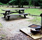 Bellbird campground - Accommodation Gladstone