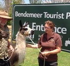 Bendemeer Tourist Park - Accommodation Gladstone