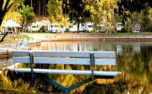 BIG4 Tweed Billabong Holiday Park - South - Accommodation Gladstone 2